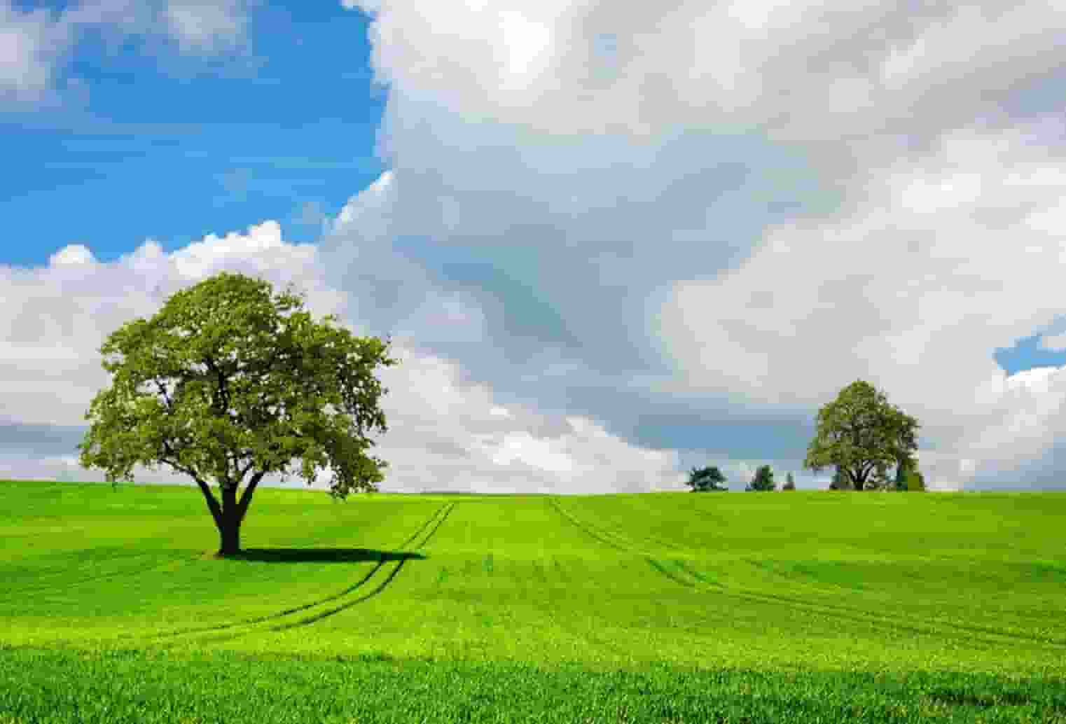 山东省最新高考志愿填报信息