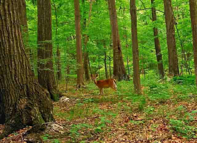 县党代会预备人主要表现