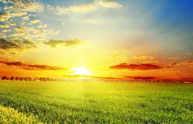 新冠疫苗7月份政策