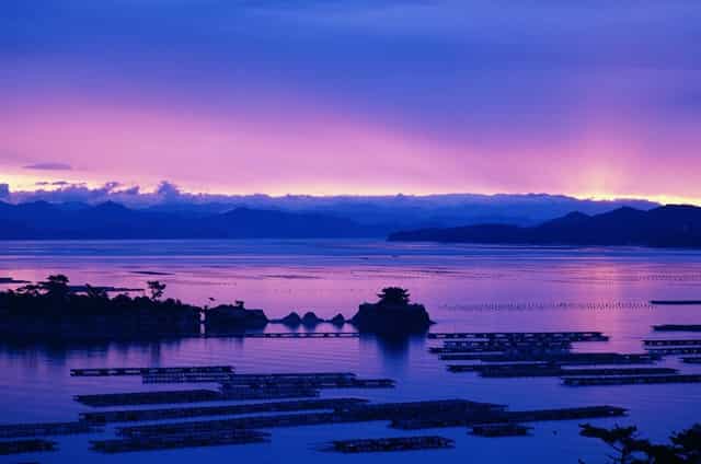 如何理解外来物种和外来入侵物种