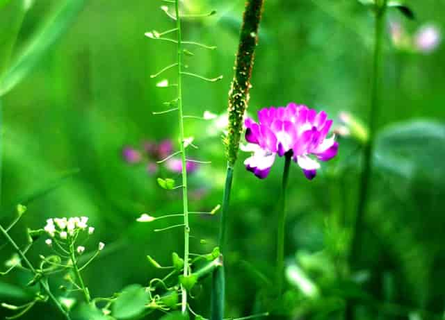 老婆妹的诱惑中字