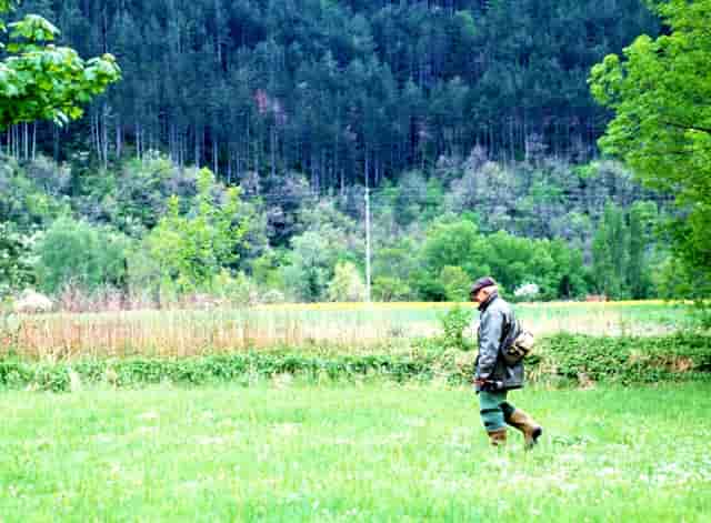 网约车司机投诉网约车公司